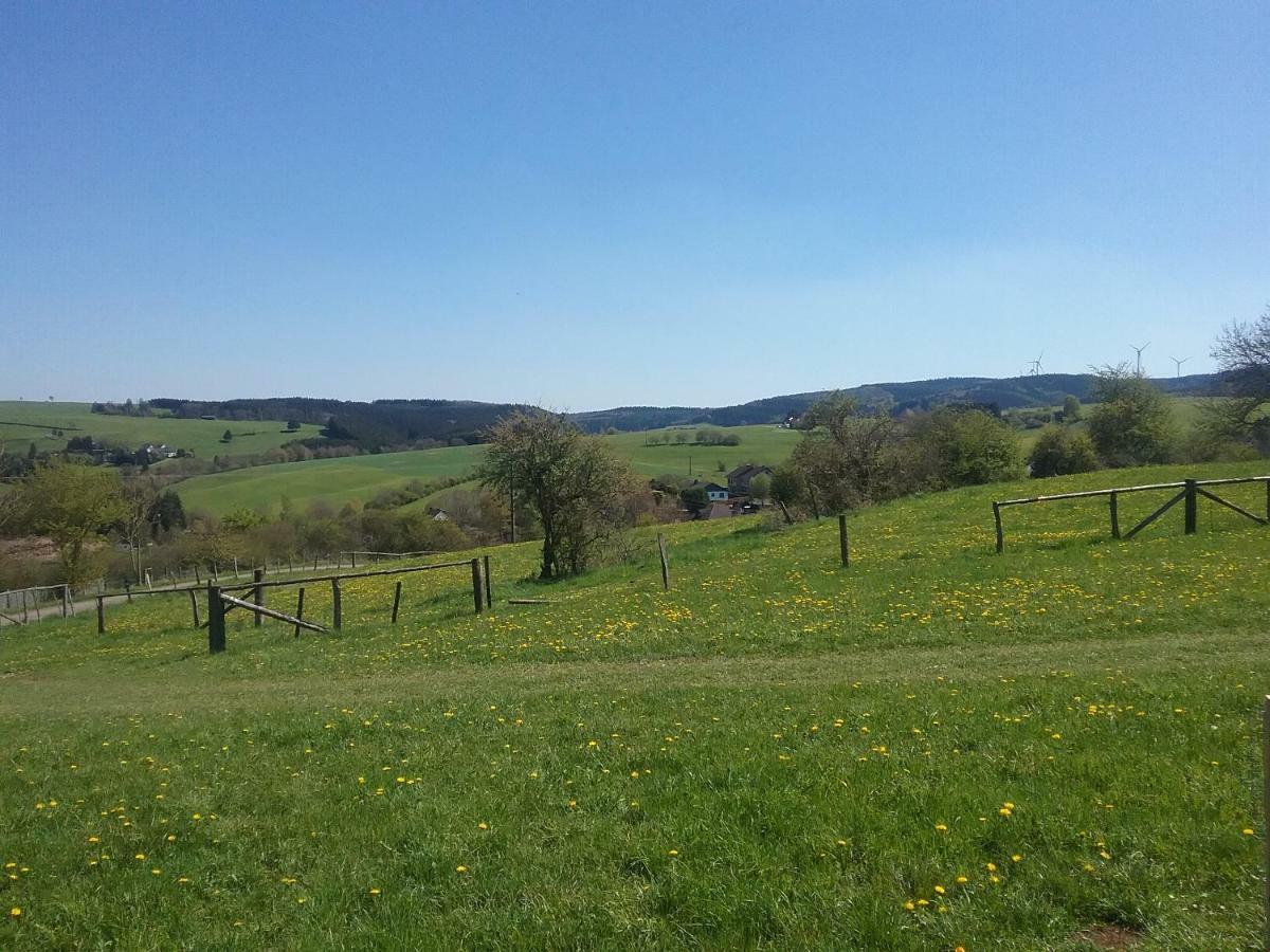 Zur Schoenen Aussicht Hellenthal Εξωτερικό φωτογραφία