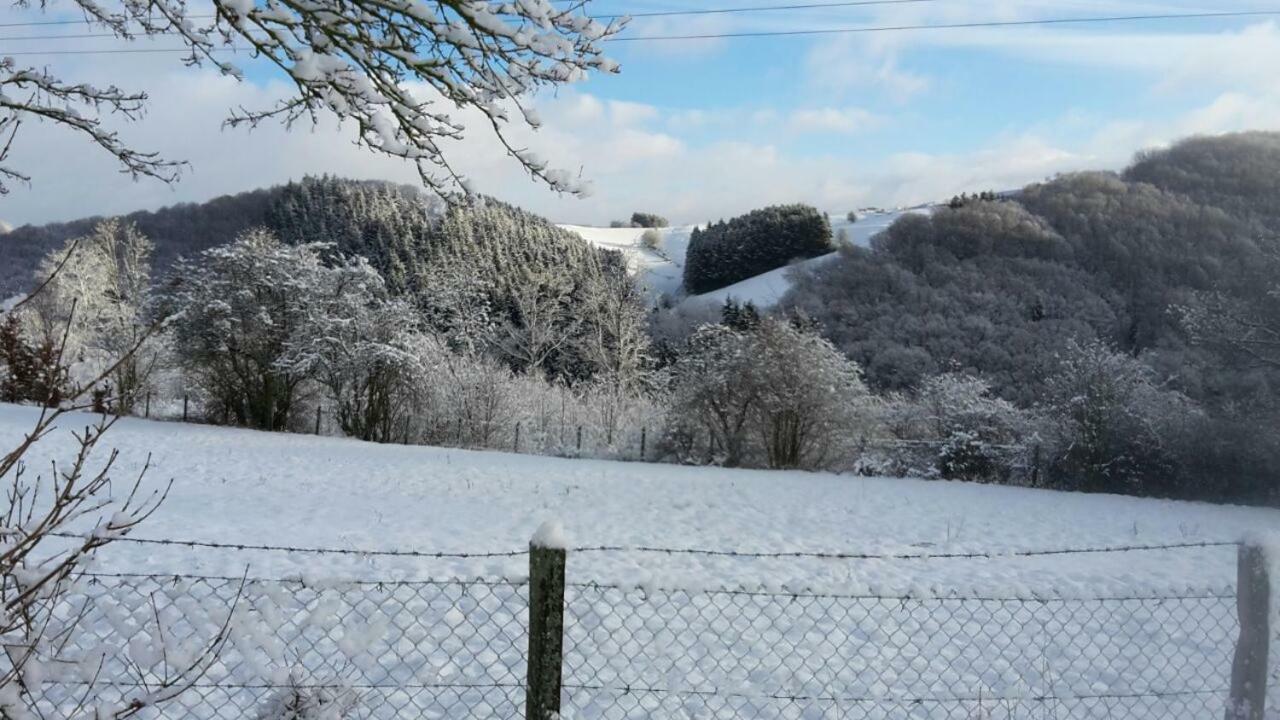 Zur Schoenen Aussicht Hellenthal Εξωτερικό φωτογραφία